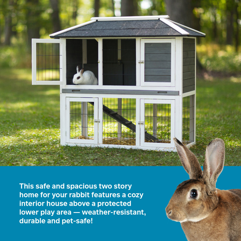 Rabbit hutch next day delivery best sale